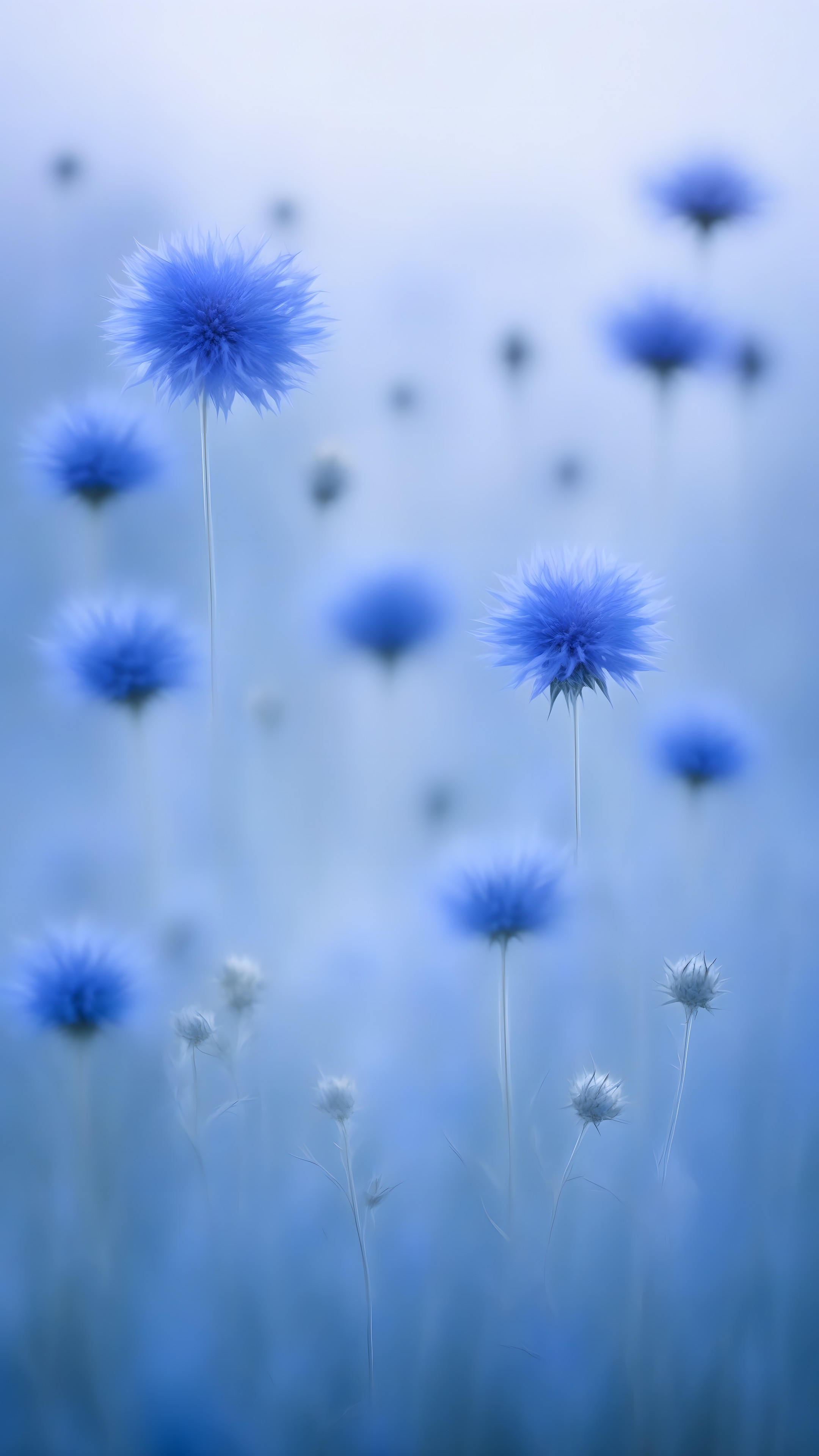 Blue Hour Blur - Abstract phone wallpaper 2160x3840